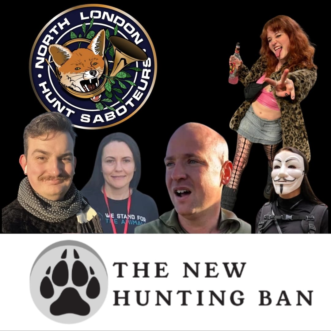 North London Hunt Sabs launch new lobby group