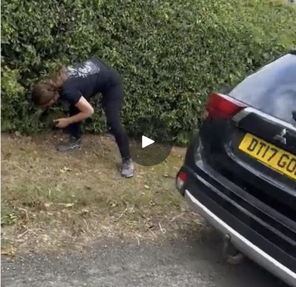 HUNT FAMILY'S TERROR: Sab Caught Red-Handed Retrieving Spy Camera from Hedge — But CPS Won't Press Charges
