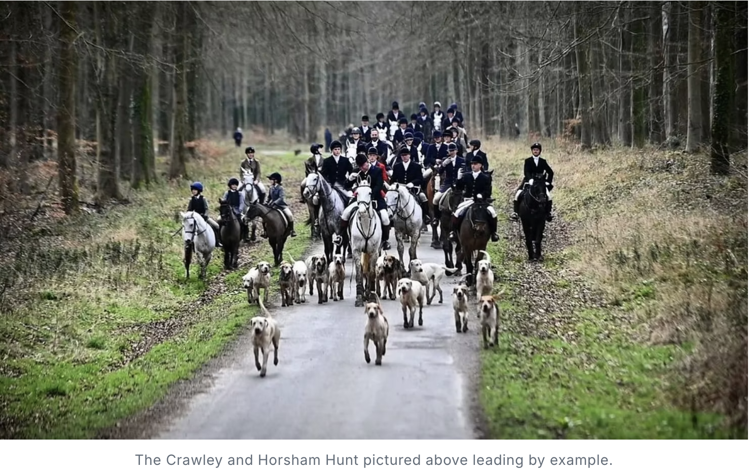 Sabs Are Now Confusing Themselves with their Campaigns of Relentless Disinformation
