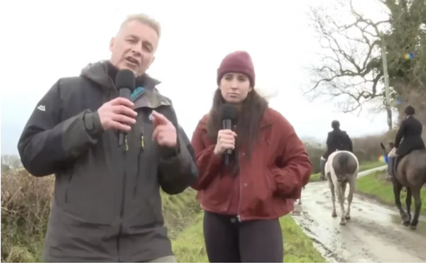 A ‘Near Chris’: Packham’s Chance Encounter Beggars Belief