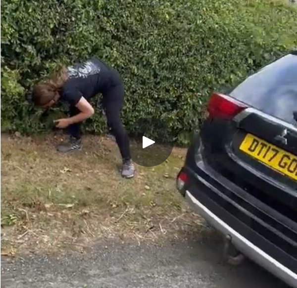 HUNT FAMILY'S TERROR: Sab Caught Red-Handed Retrieving Spy Camera from Hedge — But CPS Won't Press Charges
