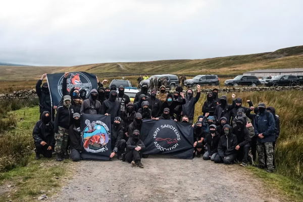 Rent-a-Sabs Paid £200 Each to Disrupt Wemmergill Shoot
